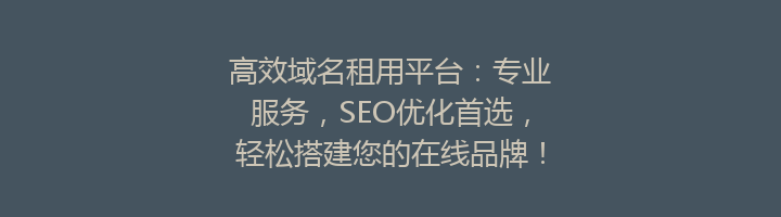 高效域名租用平台:专业服务,SEO优化首选,轻松搭建您的在线品牌!