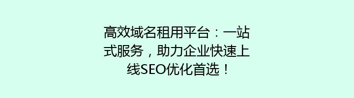 高效域名租用平台：一站式服务，助力企业快速上线SEO优化首选！