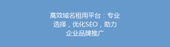 高效域名租用平台：专业选择，优化SEO，助力企业品牌推广
