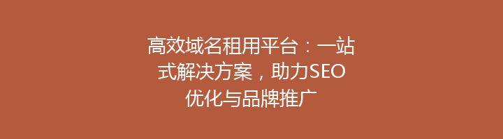 高效域名租用平台:一站式解决方案,助力SEO优化与品牌推广