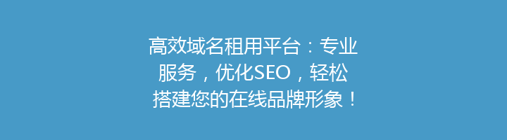 高效域名租用平台:专业服务,优化SEO,轻松搭建您的在线品牌形象!