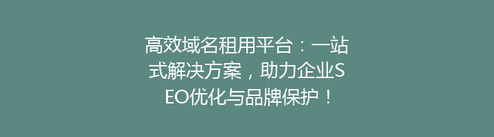 高效域名租用平台:一站式解决方案,助力企业SEO优化与品牌保护!