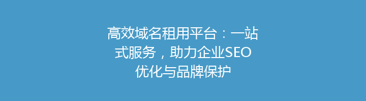 高效域名租用平台：一站式服务，助力企业SEO优化与品牌保护