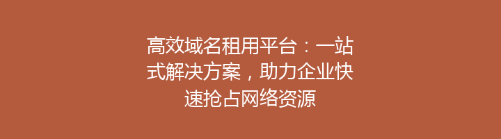 高效域名租用平台:一站式解决方案,助力企业快速抢占网络资源