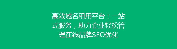 高效域名租用平台：一站式服务，助力企业轻松管理在线品牌SEO优化