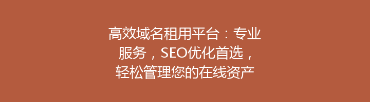 高效域名租用平台：专业服务，SEO优化首选，轻松管理您的在线资产