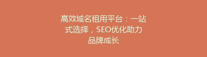 高效域名租用平台:一站式选择,SEO优化助力品牌成长