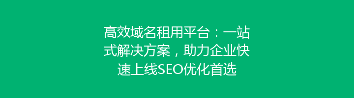高效域名租用平台:一站式解决方案,助力企业快速上线SEO优化首选
