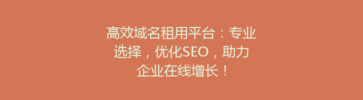 高效域名租用平台：专业选择，优化SEO，助力企业在线增长！