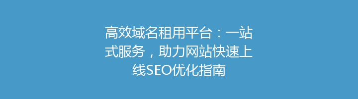 高效域名租用平台:一站式服务,助力网站快速上线SEO优化指南