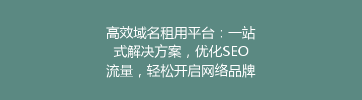 高效域名租用平台：一站式解决方案，优化SEO流量，轻松开启网络品牌新篇章