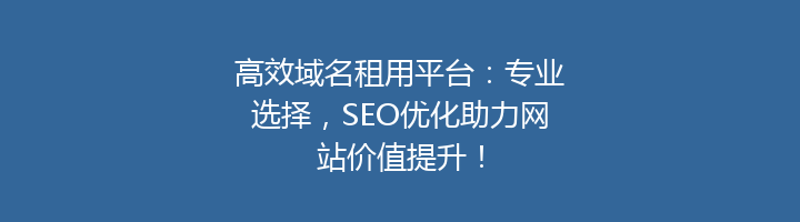 高效域名租用平台：专业选择，SEO优化助力网站价值提升！