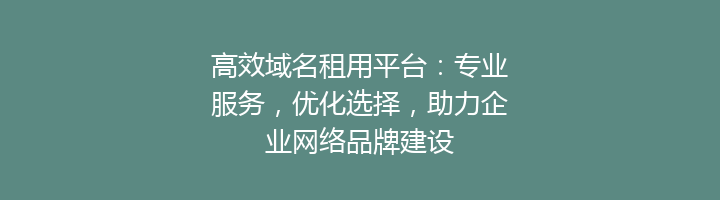 高效域名租用平台：专业服务，优化选择，助力企业网络品牌建设