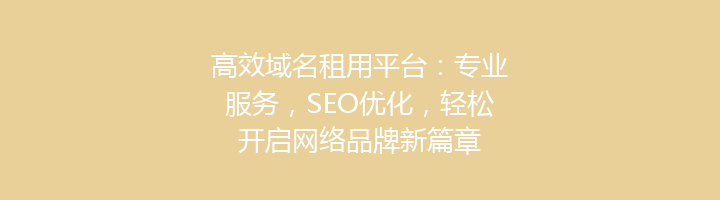 高效域名租用平台：专业服务，SEO优化，轻松开启网络品牌新篇章