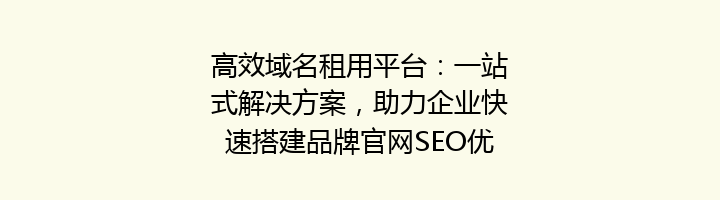 高效域名租用平台:一站式解决方案,助力企业快速搭建品牌官网SEO优化
