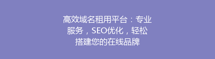 高效域名租用平台：专业服务，SEO优化，轻松搭建您的在线品牌