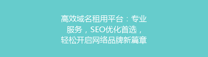 高效域名租用平台：专业服务，SEO优化首选，轻松开启网络品牌新篇章