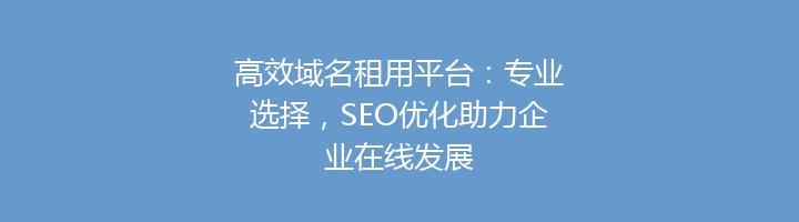 高效域名租用平台:专业选择,SEO优化助力企业在线发展