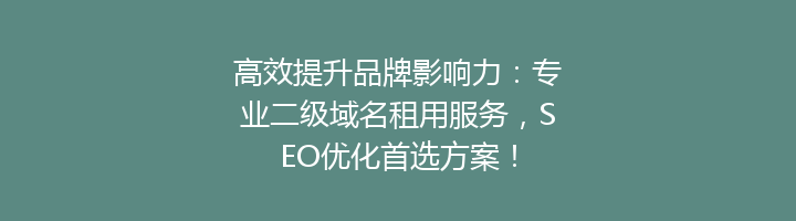 高效提升品牌影响力：专业二级域名租用服务，SEO优化首选方案！