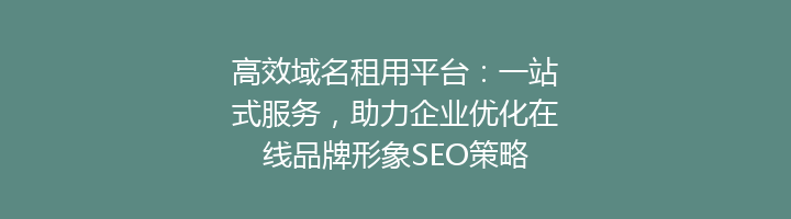 高效域名租用平台:一站式服务,助力企业优化在线品牌形象SEO策略