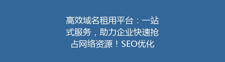 高效域名租用平台:一站式服务,助力企业快速抢占网络资源!SEO优化首选