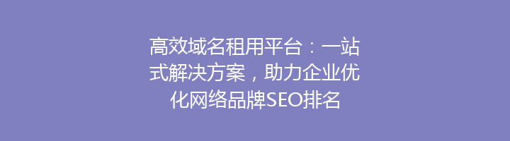 高效域名租用平台:一站式解决方案,助力企业优化网络品牌SEO排名