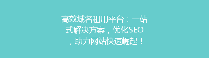 高效域名租用平台：一站式解决方案，优化SEO，助力网站快速崛起！