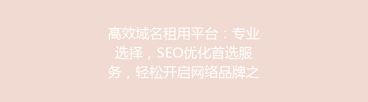 高效域名租用平台：专业选择，SEO优化首选服务，轻松开启网络品牌之旅