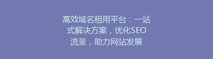 高效域名租用平台：一站式解决方案，优化SEO流量，助力网站发展