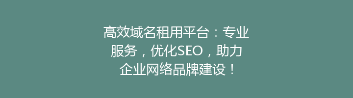 高效域名租用平台：专业服务，优化SEO，助力企业网络品牌建设！