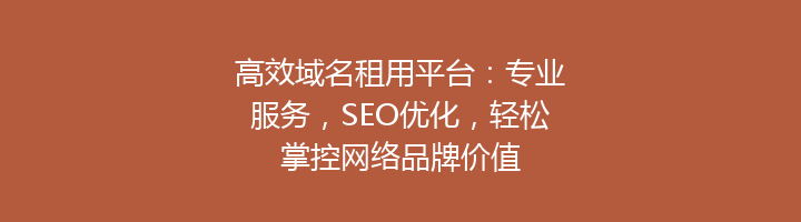 高效域名租用平台:专业服务,SEO优化,轻松掌控网络品牌价值
