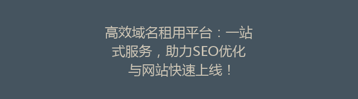 高效域名租用平台:一站式服务,助力SEO优化与网站快速上线!