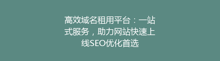 高效域名租用平台:一站式服务,助力网站快速上线SEO优化首选