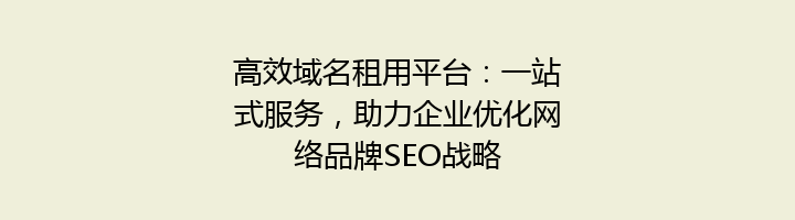 高效域名租用平台:一站式服务,助力企业优化网络品牌SEO战略