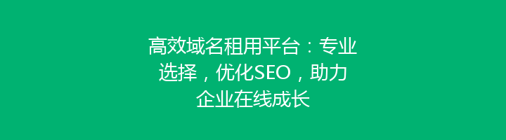 高效域名租用平台：专业选择，优化SEO，助力企业在线成长