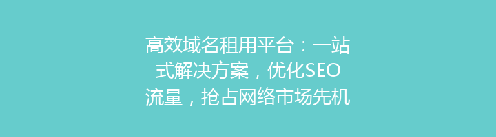 高效域名租用平台：一站式解决方案，优化SEO流量，抢占网络市场先机！