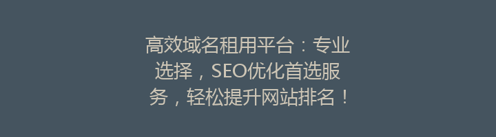 高效域名租用平台:专业选择,SEO优化首选服务,轻松提升网站排名!