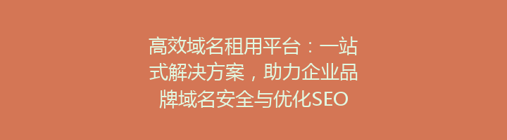 高效域名租用平台:一站式解决方案,助力企业品牌域名安全与优化SEO排名