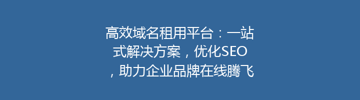 高效域名租用平台:一站式解决方案,优化SEO,助力企业品牌在线腾飞!