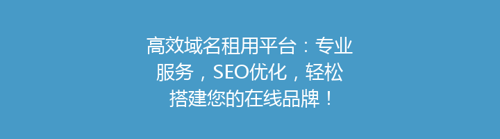 高效域名租用平台：专业服务，SEO优化，轻松搭建您的在线品牌！