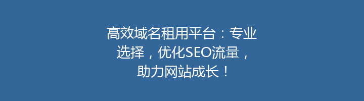 高效域名租用平台：专业选择，优化SEO流量，助力网站成长！