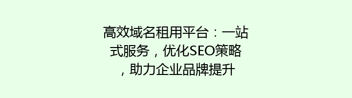 高效域名租用平台:一站式服务,优化SEO策略,助力企业品牌提升