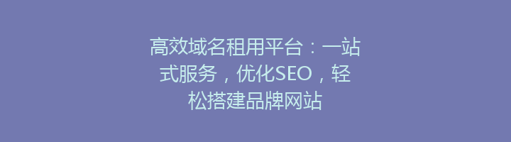 高效域名租用平台：一站式服务，优化SEO，轻松搭建品牌网站
