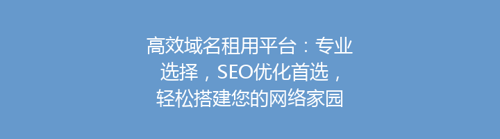 高效域名租用平台：专业选择，SEO优化首选，轻松搭建您的网络家园