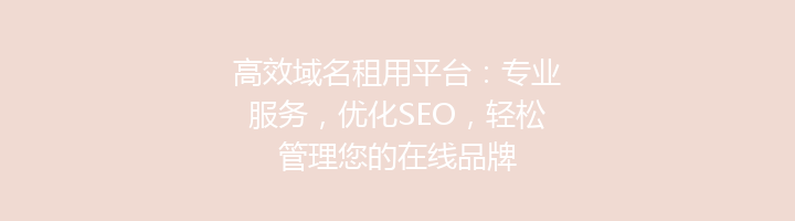 高效域名租用平台：专业服务，优化SEO，轻松管理您的在线品牌