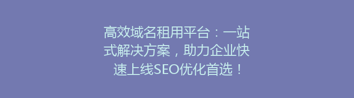 高效域名租用平台：一站式解决方案，助力企业快速上线SEO优化首选！
