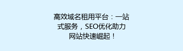 高效域名租用平台：一站式服务，SEO优化助力网站快速崛起！
