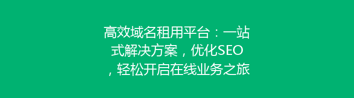 高效域名租用平台：一站式解决方案，优化SEO，轻松开启在线业务之旅