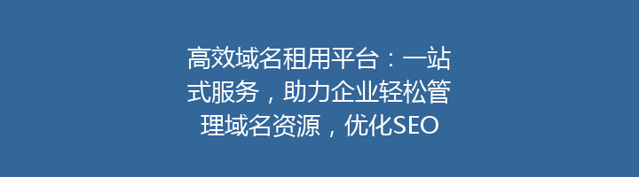 高效域名租用平台:一站式服务,助力企业轻松管理域名资源,优化SEO策略