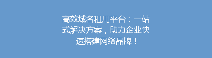 高效域名租用平台：一站式解决方案，助力企业快速搭建网络品牌！